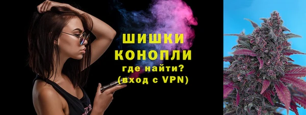 мдпв Волоколамск