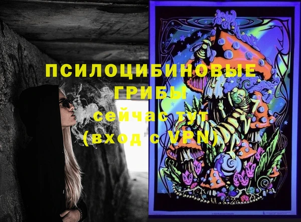 мдпв Волоколамск