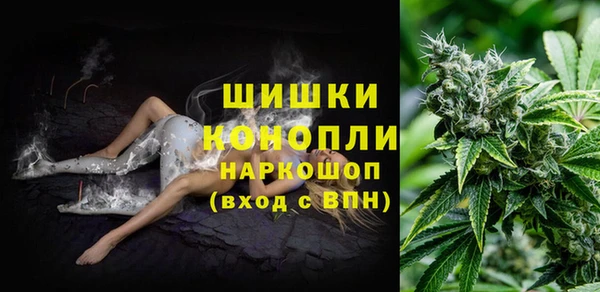 тгк Вязьма