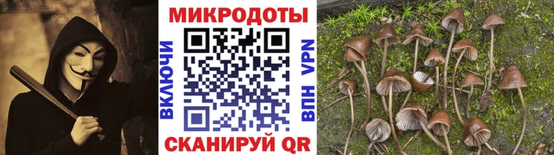 купить наркотик  Знаменск  Галлюциногенные грибы прущие грибы 